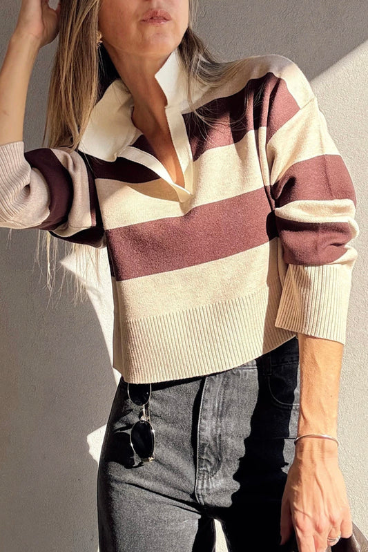 Brown Ribbed Trim Color Block Knitted Polo Collar Sweater